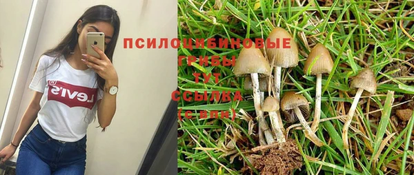 бошки Карталы