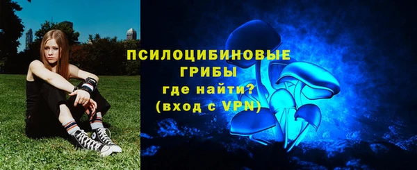 мескалин Коряжма