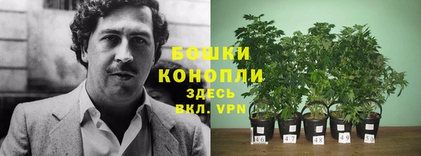 трава Киренск