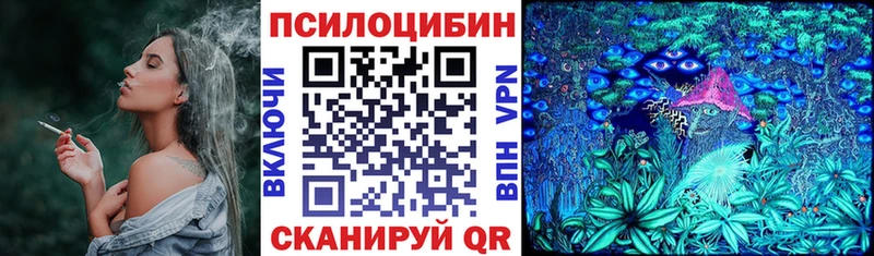 Купить где  Губаха  Псилоцибиновые грибы Psilocybine cubensis 